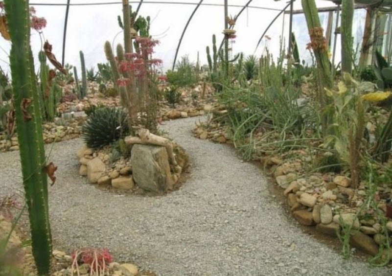 Cactuseraie ESCAÏRE FIGUE, Montolieu, France, France